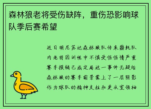 森林狼老将受伤缺阵，重伤恐影响球队季后赛希望